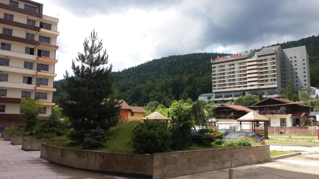 Sophie Apartament Apartamento Sinaia Exterior foto